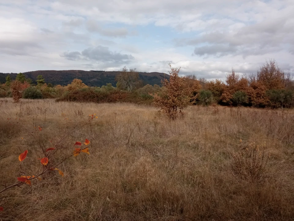 Quinta T0 para Venda em Vale da Senhora da Povoa Foto 16