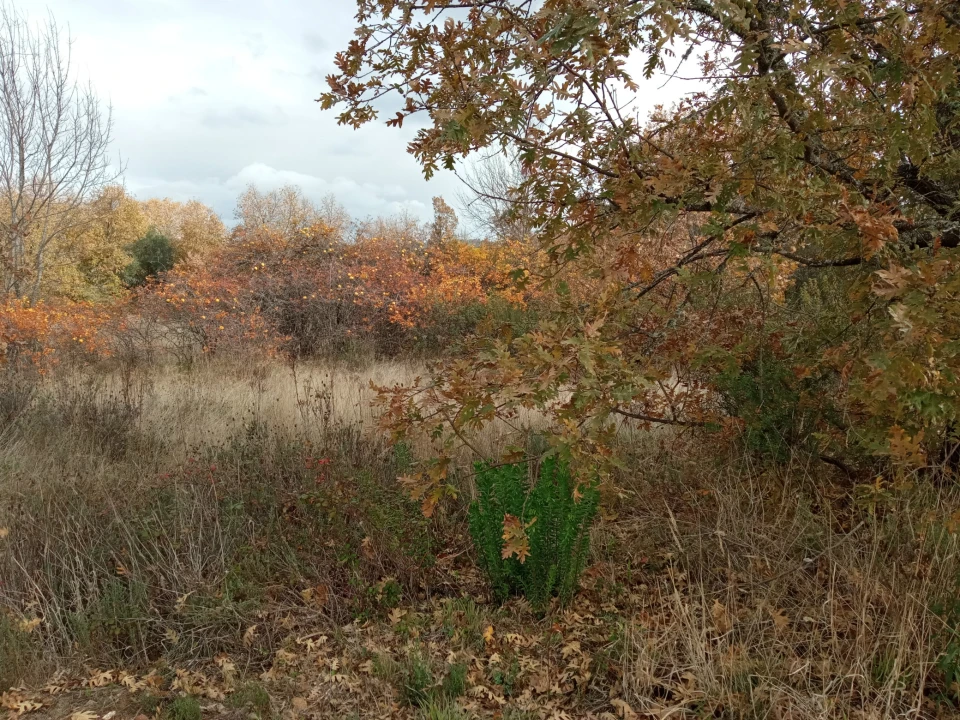 Quinta T0 para Venda em Vale da Senhora da Povoa Foto 23