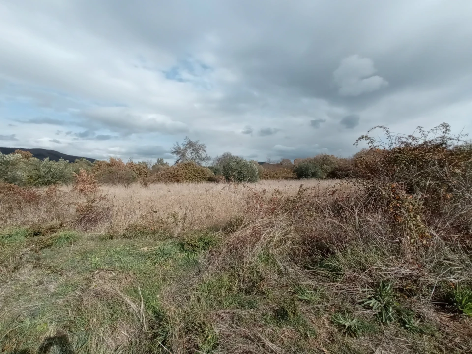 Quinta T0 para Venda em Vale da Senhora da Povoa Foto 24