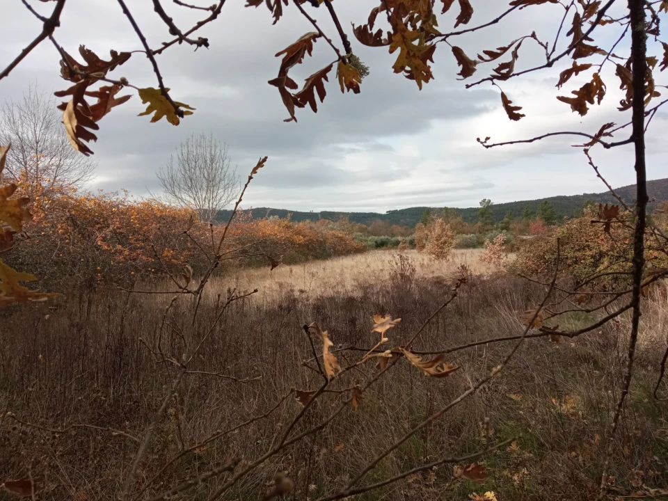 Quinta T0 para Venda em Vale da Senhora da Povoa Foto 14
