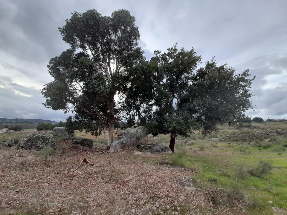 Quinta T0 para Venda em Póvoa de Rio de Moinhos e Cafede Foto 9