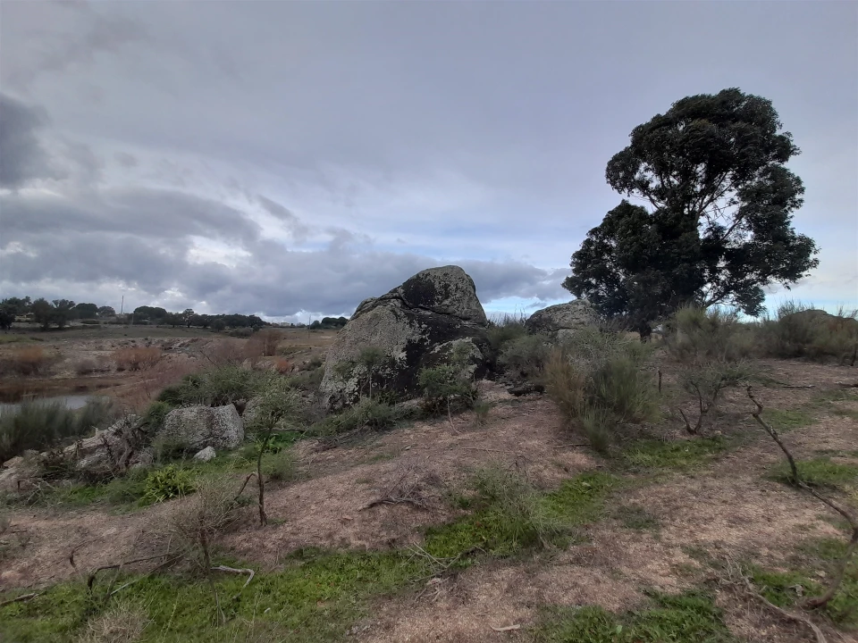 Quinta T0 para Venda em Póvoa de Rio de Moinhos e Cafede Foto 8