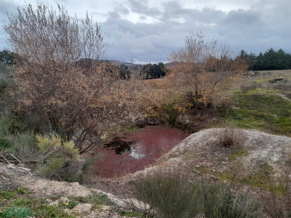 Quinta T0 para Venda em Póvoa de Rio de Moinhos e Cafede Foto 10