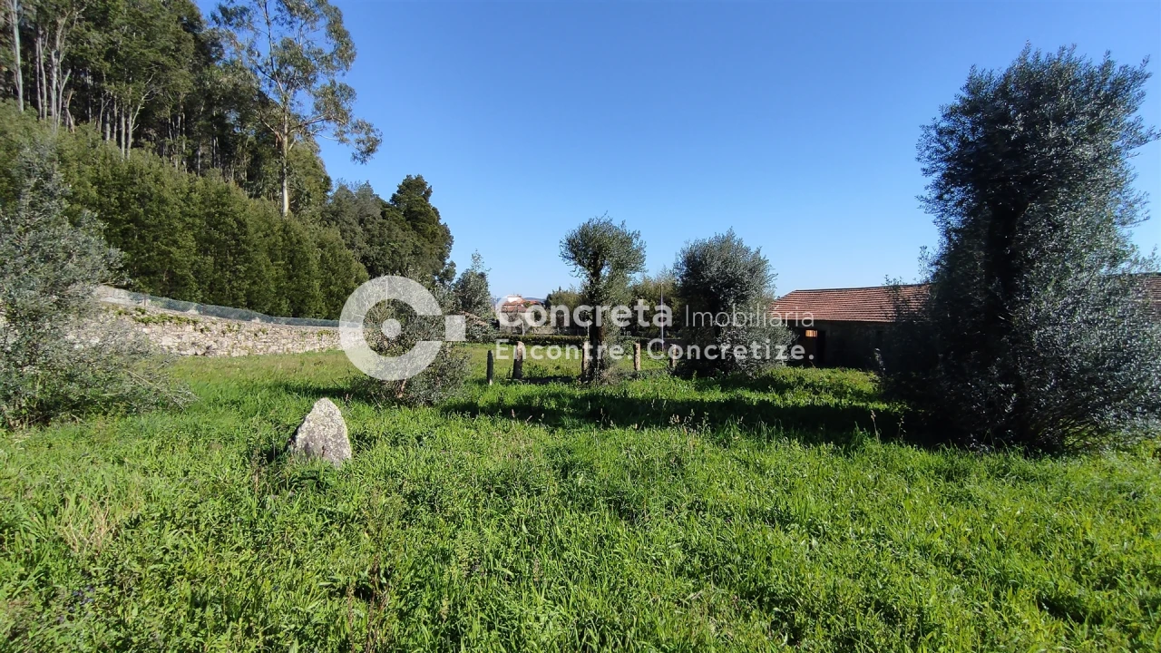 Quinta T5 para Venda em Viatodos, Grimancelos, Minhotães, Monte Fralães Foto 5