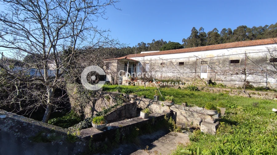 Quinta T5 para Venda em Viatodos, Grimancelos, Minhotães, Monte Fralães Foto 13