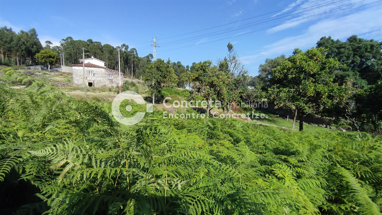 Terreno para Venda em Vila Cova e Feitos Foto 8