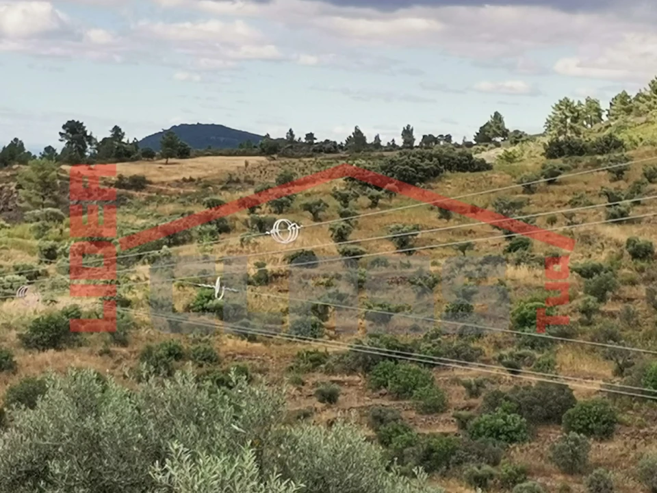 Terreno Agricola ou Rústico para Venda em Vilas Boas e Vilarinho das Azenhas Foto 1