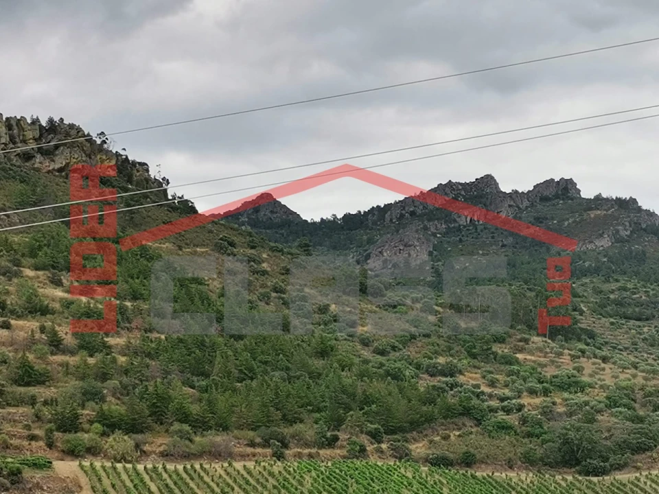 Terreno Agricola ou Rústico para Venda em Vilas Boas e Vilarinho das Azenhas Foto 3