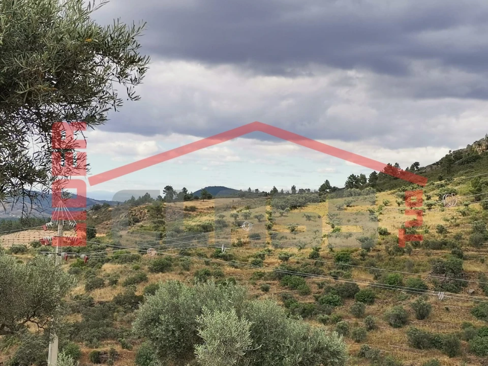 Terreno Agricola ou Rústico para Venda em Vilas Boas e Vilarinho das Azenhas Foto 5