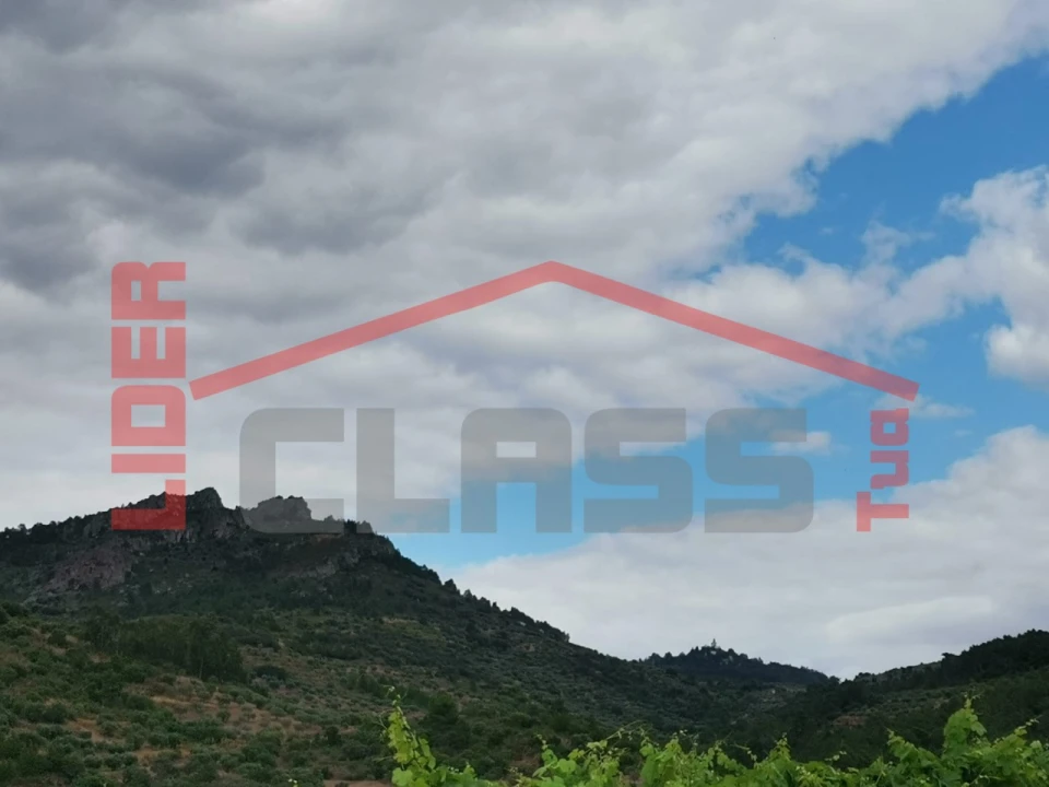 Terreno Agricola ou Rústico para Venda em Vilas Boas e Vilarinho das Azenhas Foto 6