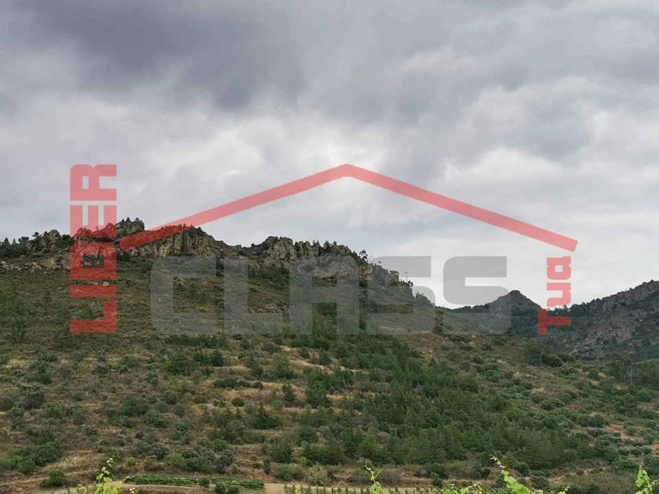 Terreno Agricola ou Rústico para Venda em Vilas Boas e Vilarinho das Azenhas Foto 7