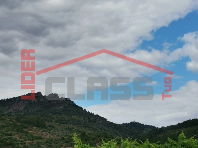 Terreno Agricola ou Rústico para Venda em Vilas Boas e Vilarinho das Azenhas Foto 6