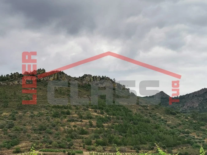 Terreno Agricola ou Rústico para Venda em Vilas Boas e Vilarinho das Azenhas Foto 7