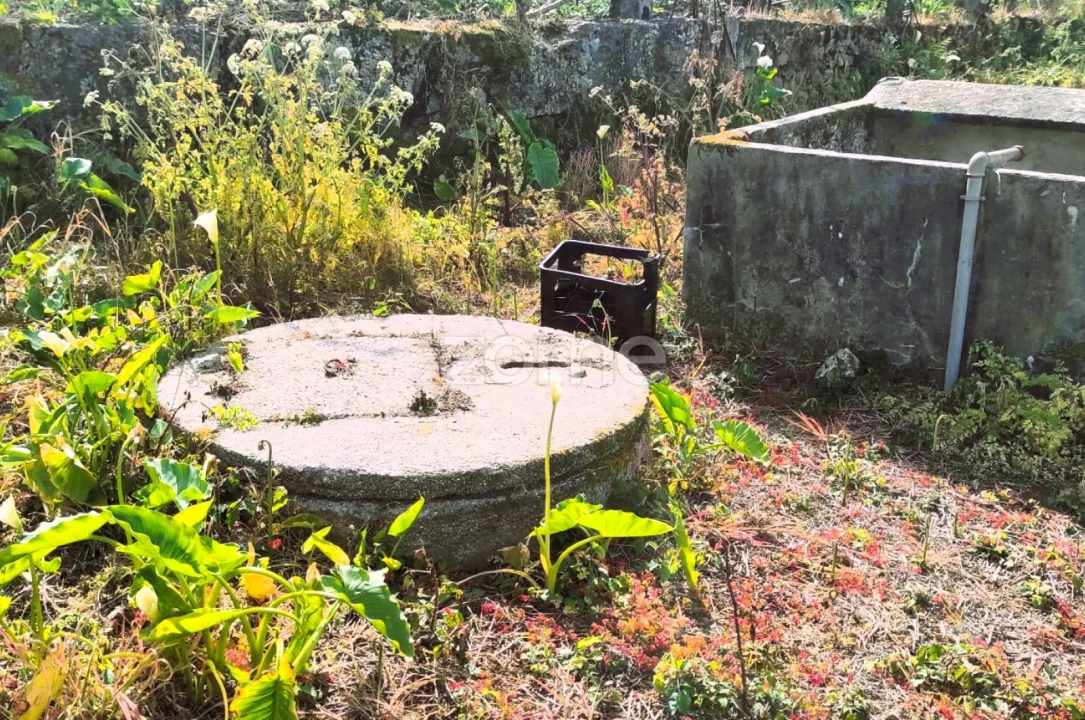 Terreno para Venda em Lemenhe, Mouquim e Jesufrei Foto 8