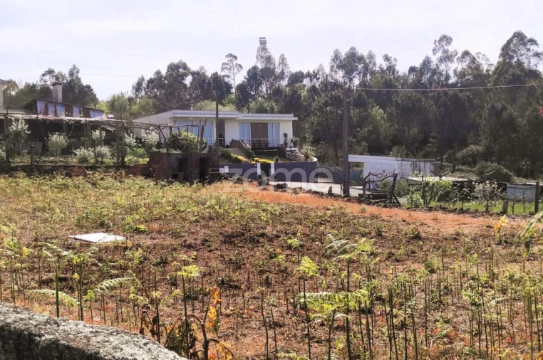 Terreno para Venda em Lemenhe, Mouquim e Jesufrei Foto 6