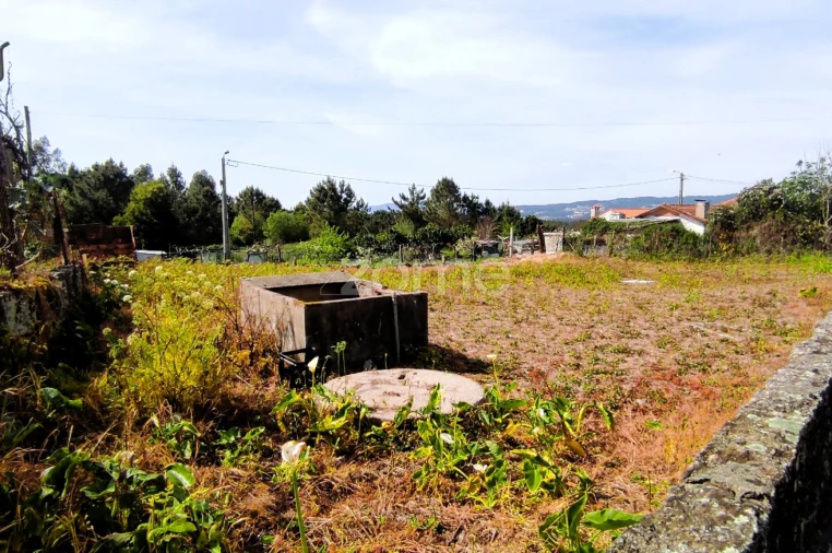 Terreno para Venda em Lemenhe, Mouquim e Jesufrei Foto 7