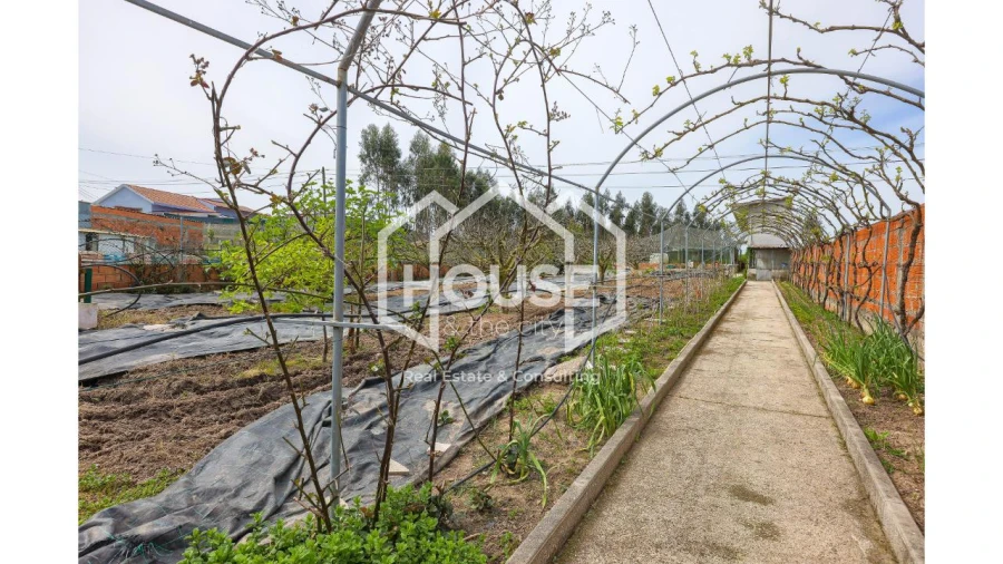 Moradia T4 para Venda em Requeixo, Nossa Senhora de Fátima e Nariz Foto 20