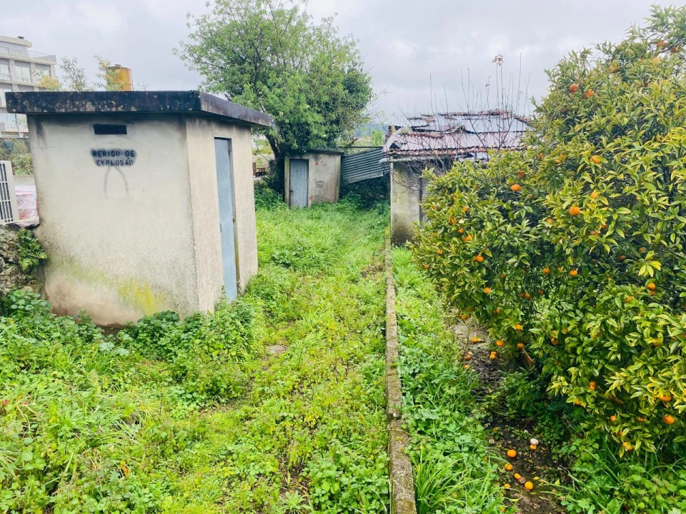 Prédio para Venda em Abade de Neiva Foto 15