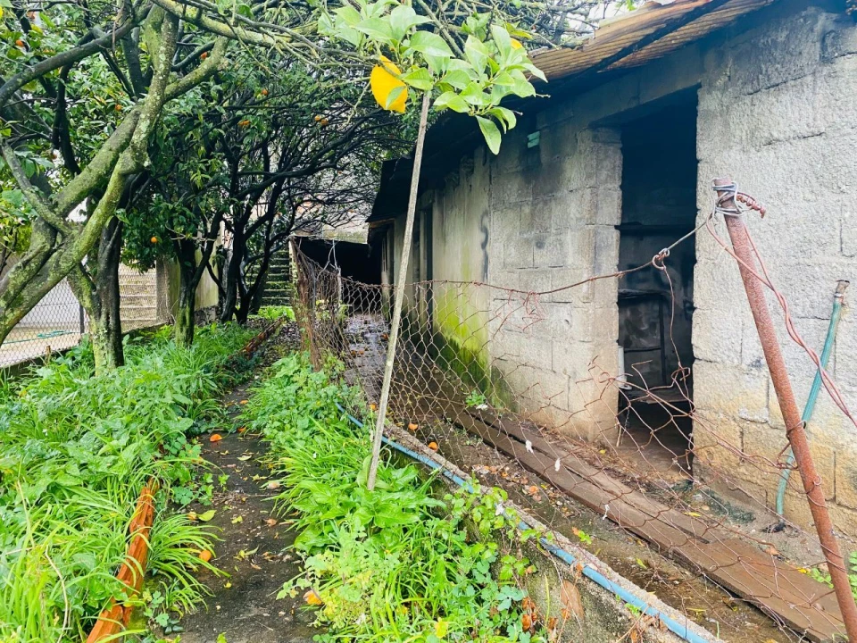 Prédio para Venda em Abade de Neiva Foto 16