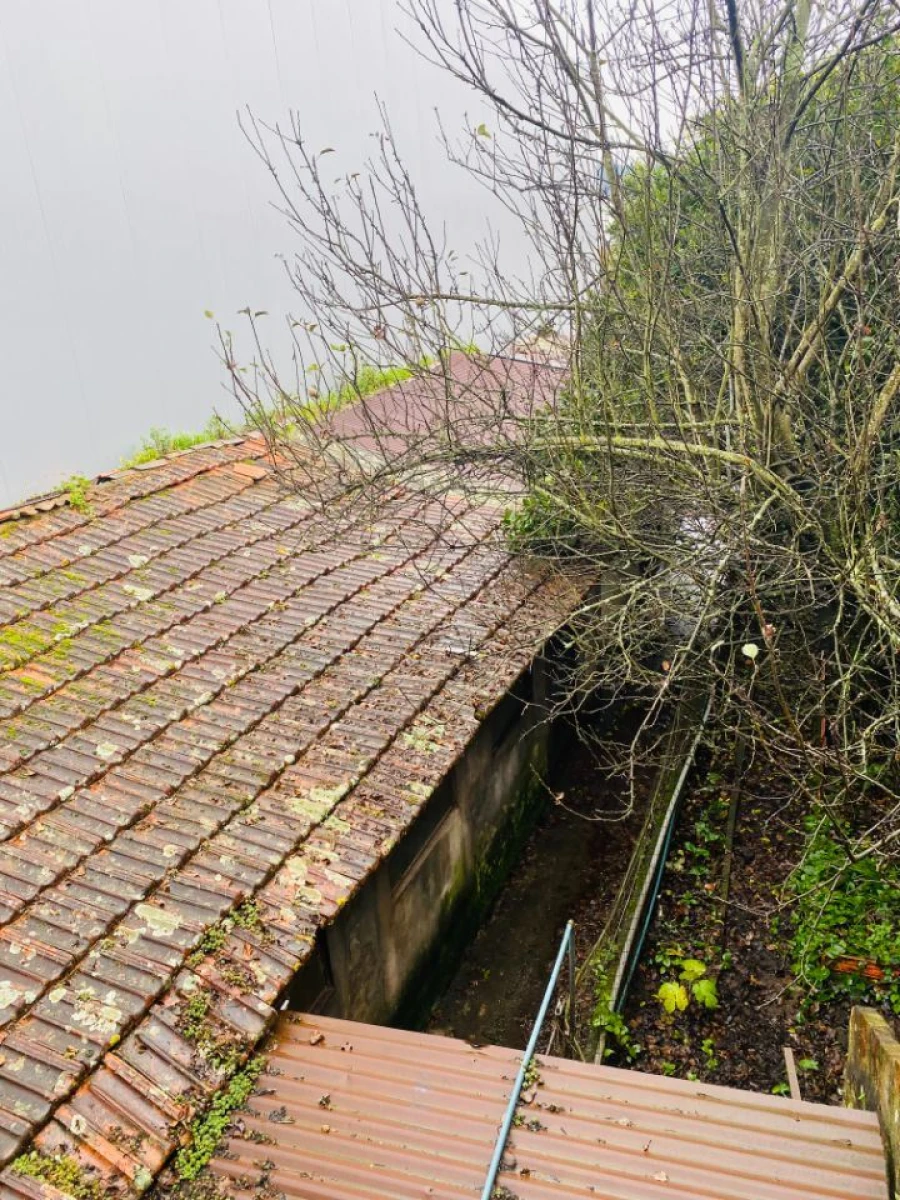 Prédio para Venda em Abade de Neiva Foto 7