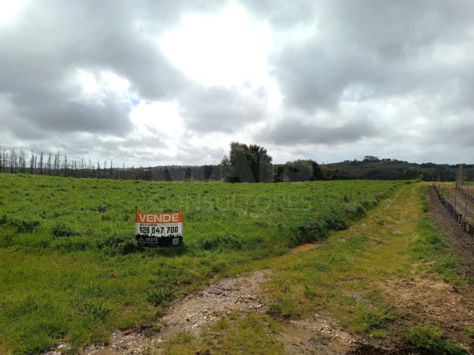 Terreno para Venda em A dos Francos Foto 6