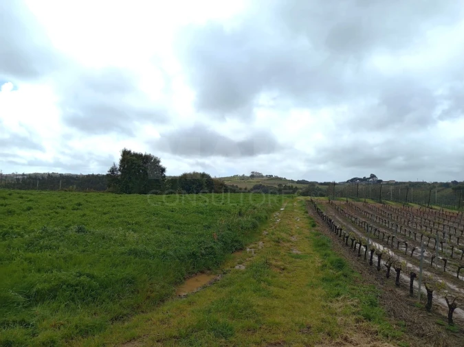 Terreno para Venda em A dos Francos Foto 5