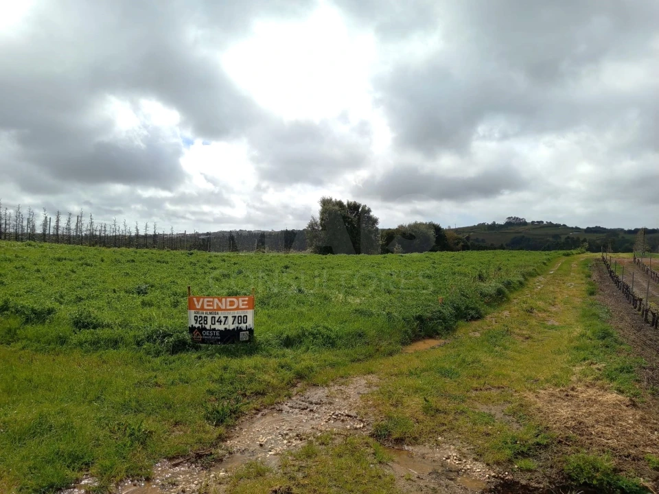 Terreno para Venda em A dos Francos Foto 7