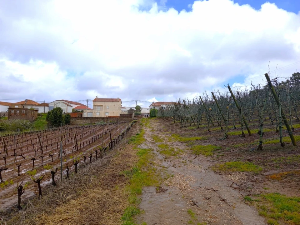 Terreno para Venda em A dos Francos Foto 2