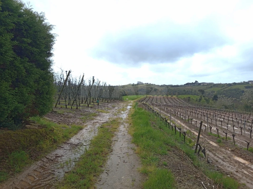 Terreno para Venda em A dos Francos Foto 3