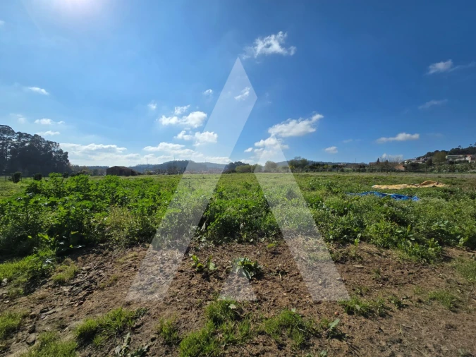 Terreno para Venda em Romariz Foto 3