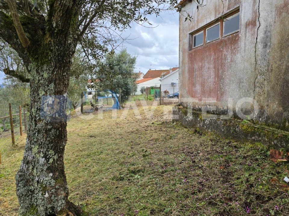 Moradia T2 para Venda em Serra e Junceira Foto 6