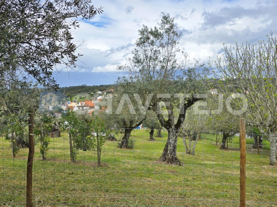 Moradia T2 para Venda em Serra e Junceira Foto 8