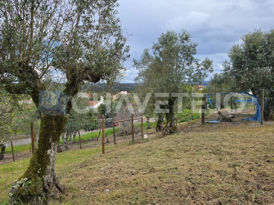 Moradia T2 para Venda em Serra e Junceira Foto 9