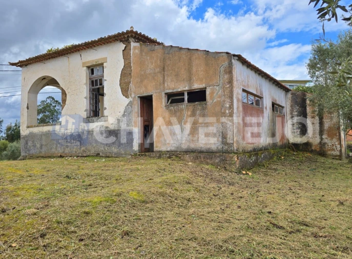 Moradia T2 para Venda em Serra e Junceira Foto 4