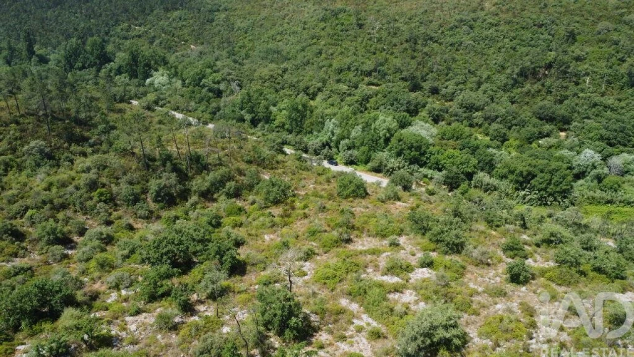 Terreno para Venda em Freixianda, Ribeira do Fárrio e Formigais Foto 29