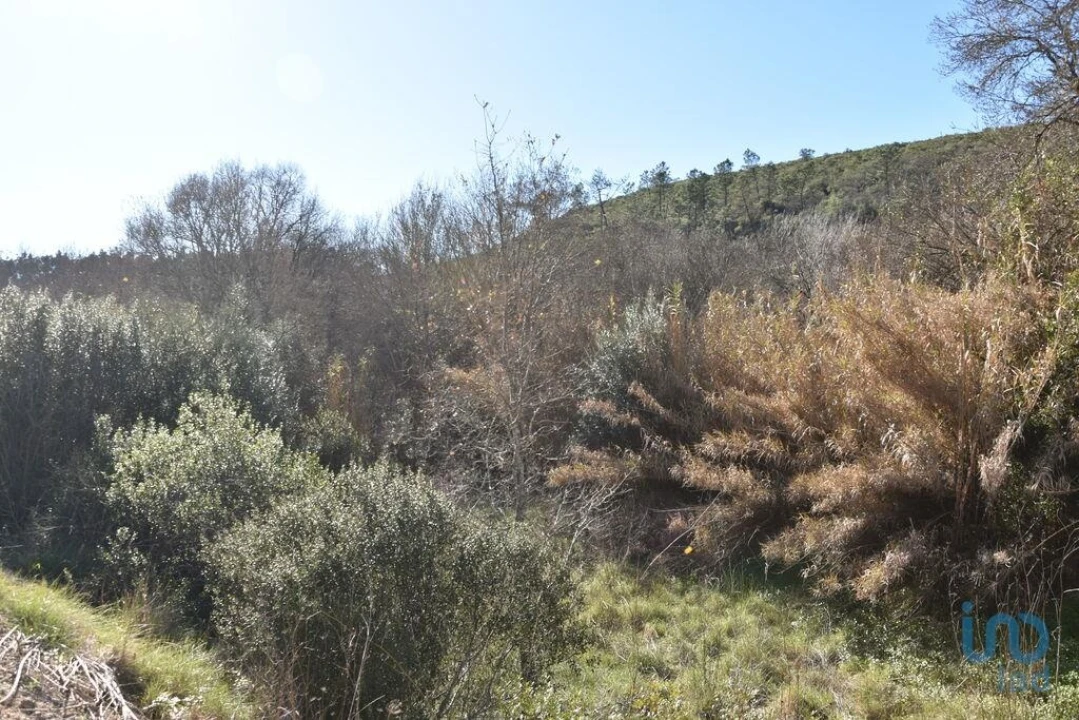 Terreno para Venda em Freixianda, Ribeira do Fárrio e Formigais Foto 14