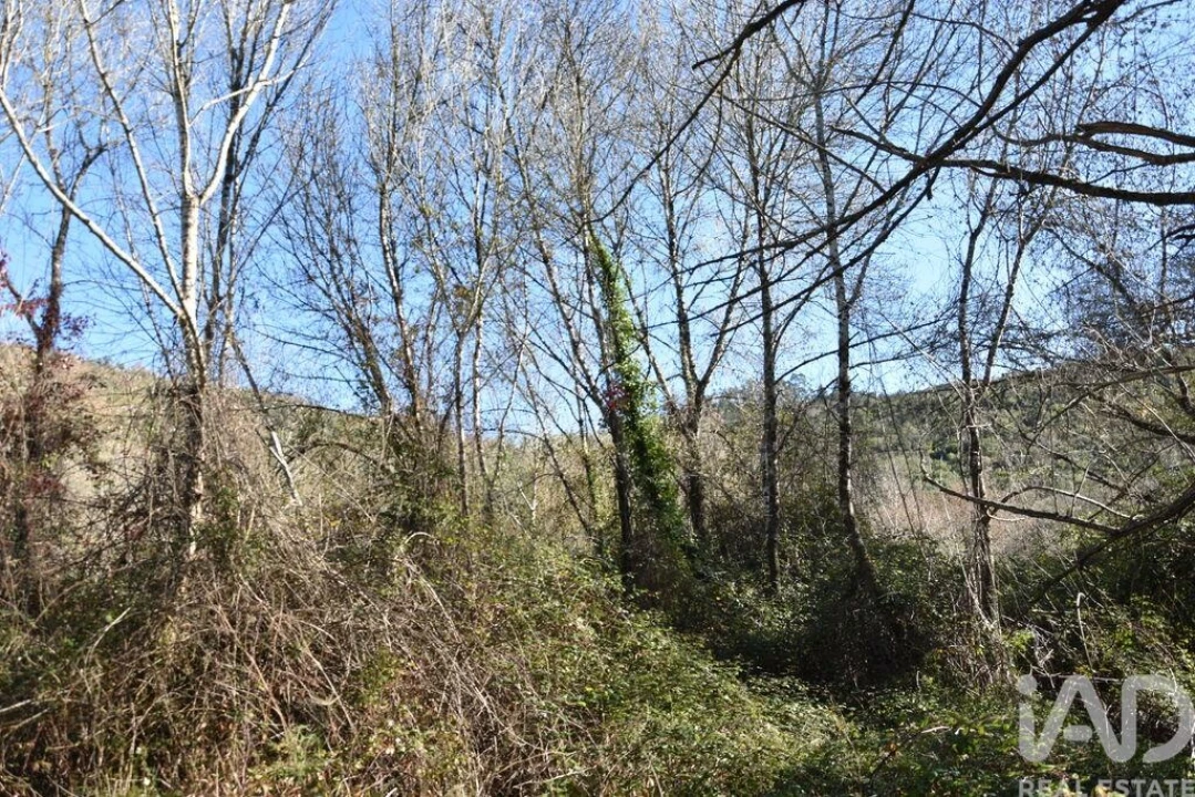 Terreno para Venda em Freixianda, Ribeira do Fárrio e Formigais Foto 26