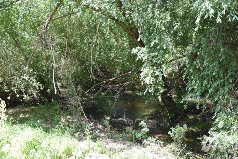 Terreno para Venda em Freixianda, Ribeira do Fárrio e Formigais Foto 30