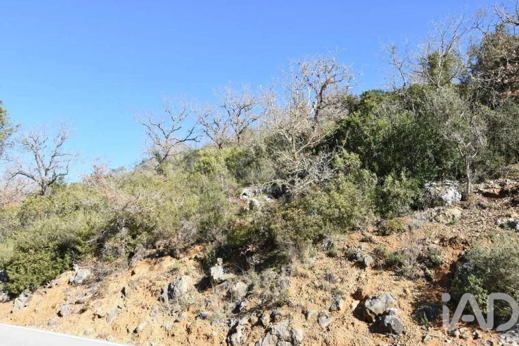 Terreno para Venda em Freixianda, Ribeira do Fárrio e Formigais Foto 22