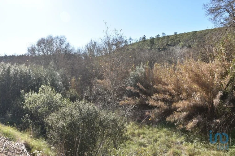 Terreno para Venda em Freixianda, Ribeira do Fárrio e Formigais Foto 14