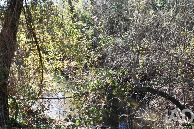 Terreno para Venda em Freixianda, Ribeira do Fárrio e Formigais Foto 27