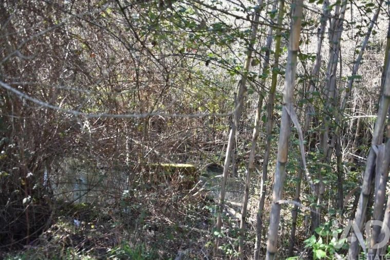 Terreno para Venda em Freixianda, Ribeira do Fárrio e Formigais Foto 17