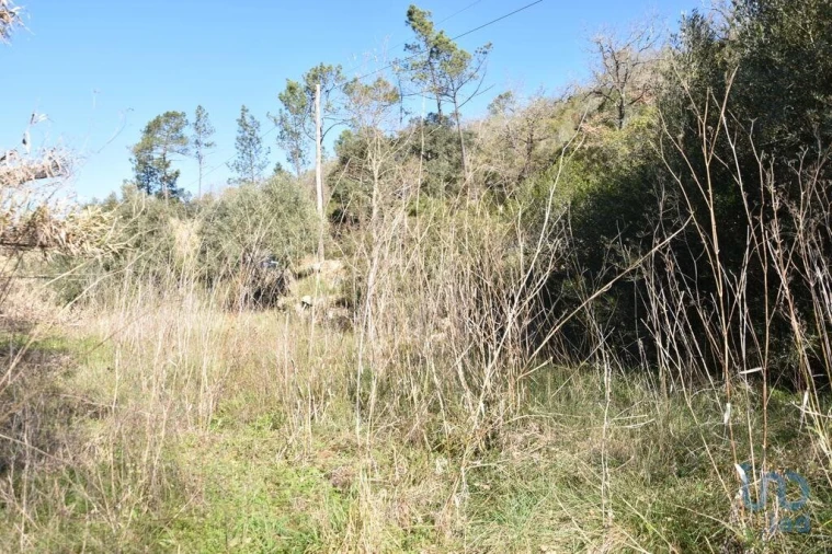 Terreno para Venda em Freixianda, Ribeira do Fárrio e Formigais Foto 6
