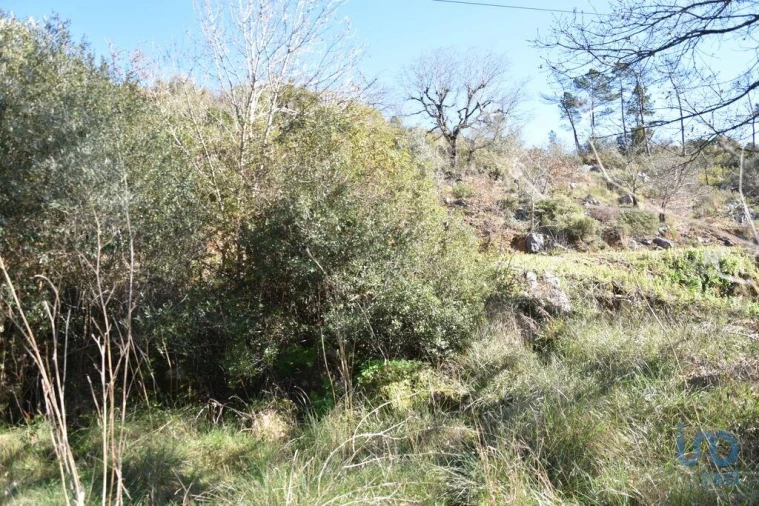 Terreno para Venda em Freixianda, Ribeira do Fárrio e Formigais Foto 7