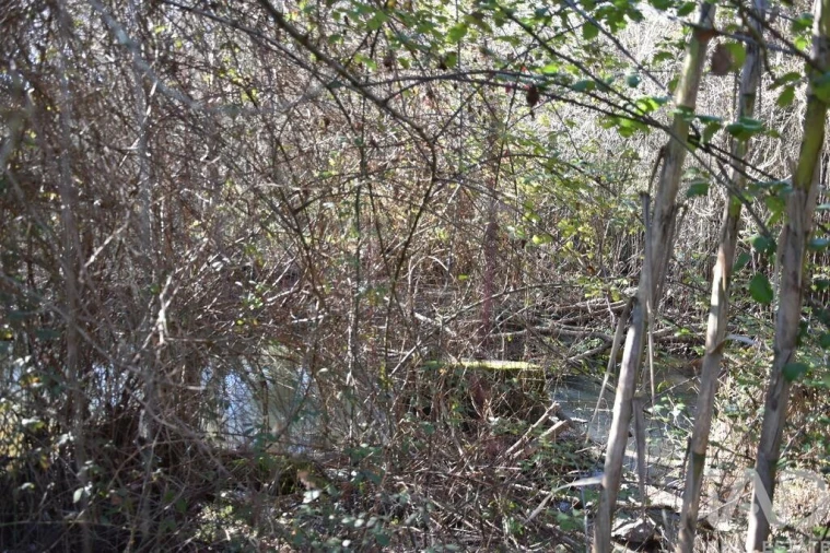 Terreno para Venda em Freixianda, Ribeira do Fárrio e Formigais Foto 18