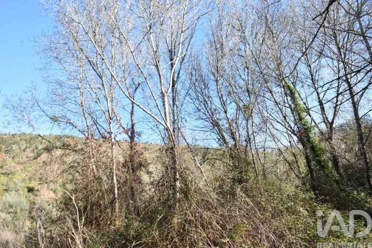 Terreno para Venda em Freixianda, Ribeira do Fárrio e Formigais Foto 25