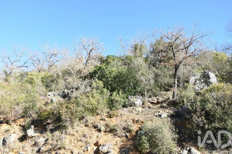 Terreno para Venda em Freixianda, Ribeira do Fárrio e Formigais Foto 21