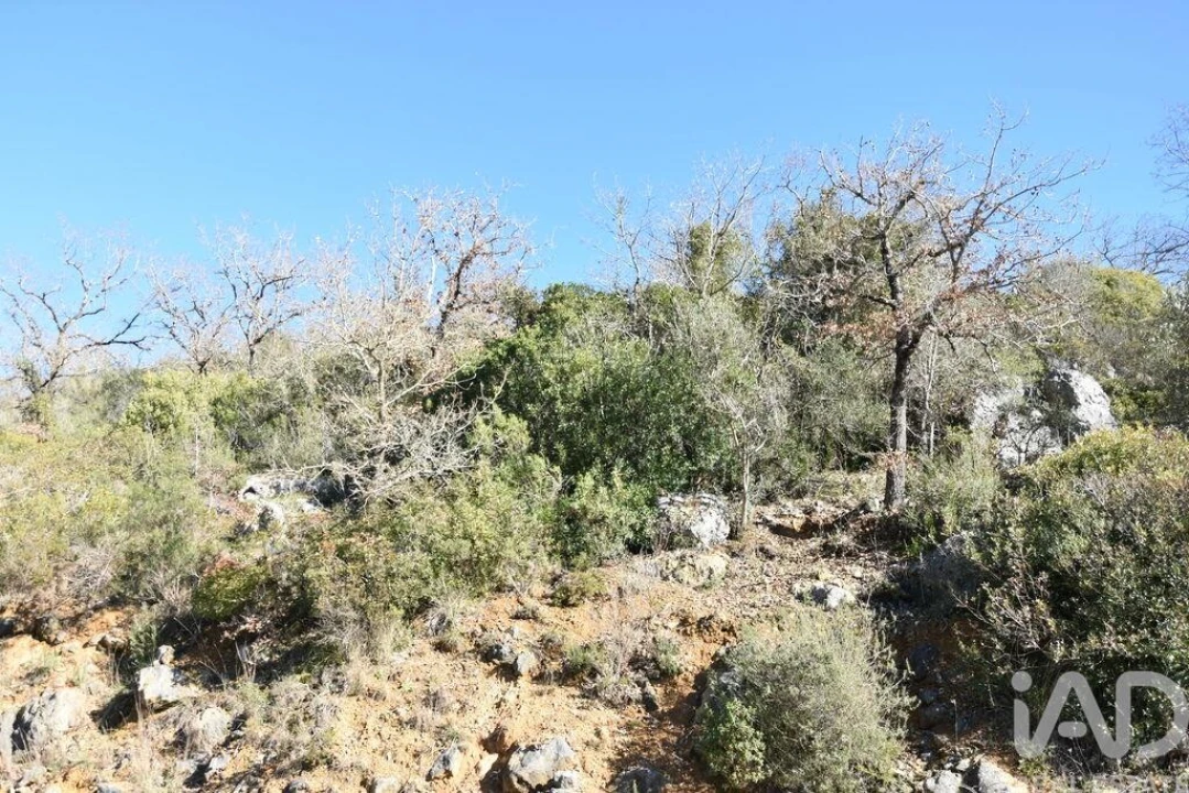 Terreno para Venda em Freixianda, Ribeira do Fárrio e Formigais Foto 21