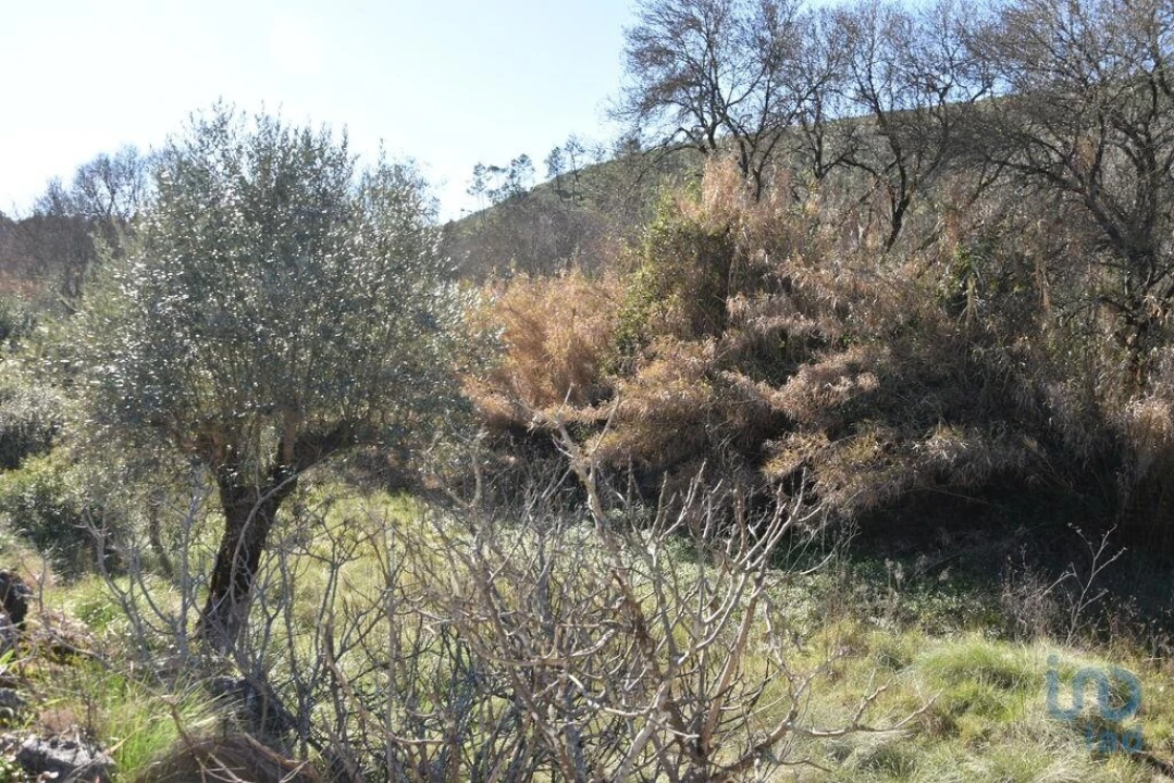 Terreno para Venda em Freixianda, Ribeira do Fárrio e Formigais Foto 1
