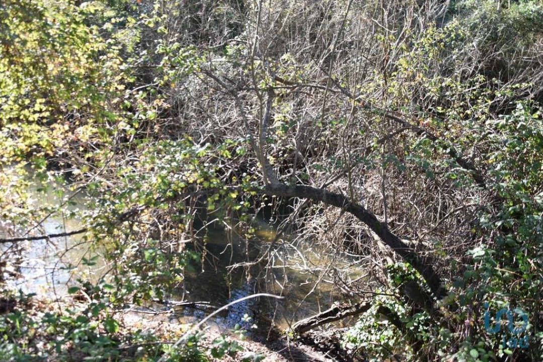 Terreno para Venda em Freixianda, Ribeira do Fárrio e Formigais Foto 8